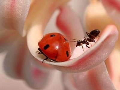 Πάσχα δεν σημαίνει λαμπάδα με ήρωα από καρτούν